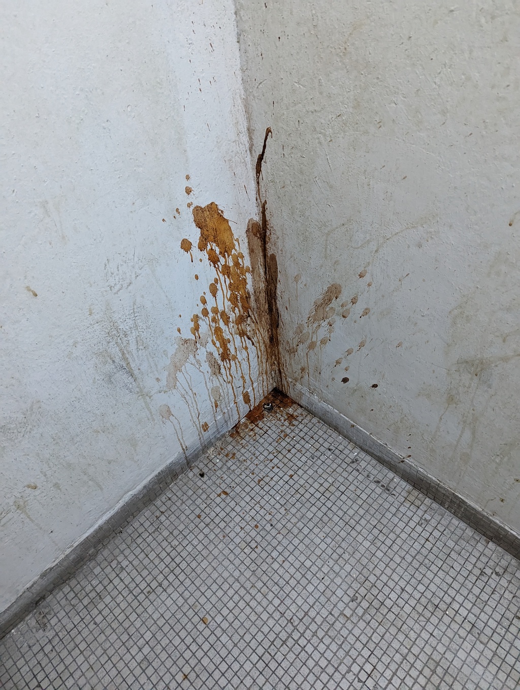 The lifts were slow and crowded, and besides, if you didn't take the stairs, you'd miss the... stains in the corners.